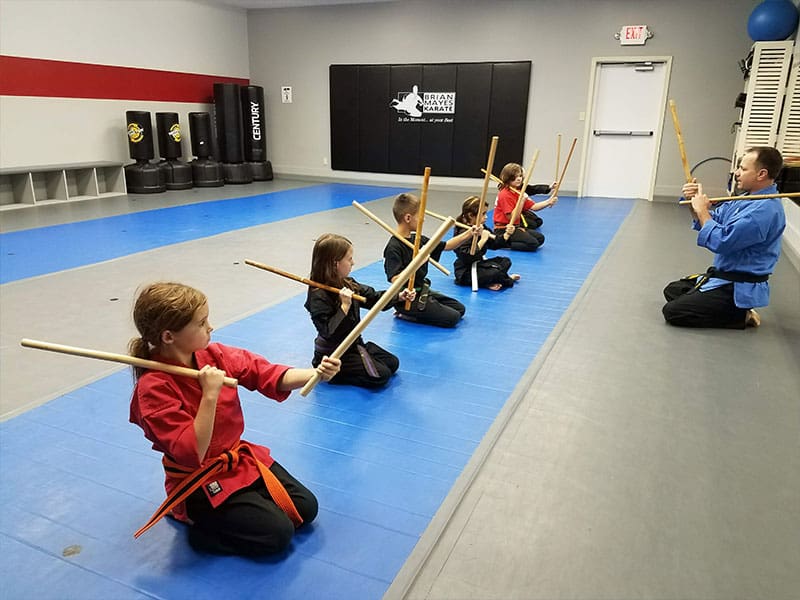 Kids Martial Arts Classes - Harrisonburg | Next Level Martial Arts