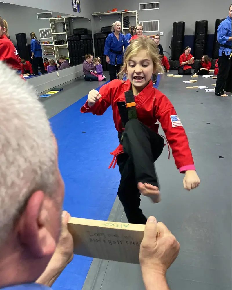 Kids Martial Arts Classes - Harrisonburg | Next Level Martial Arts