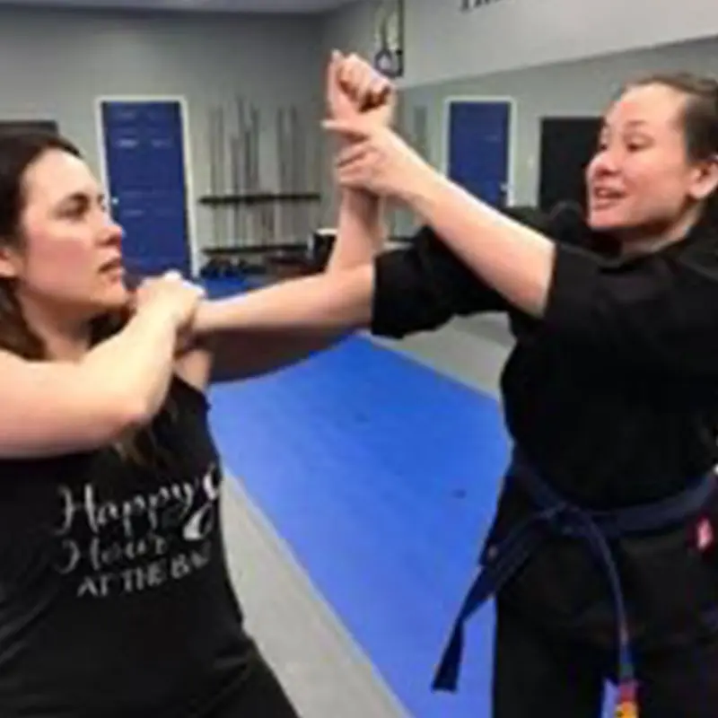 Adult Martial Arts Classes - Harrisonburg | Next Level Martial Arts