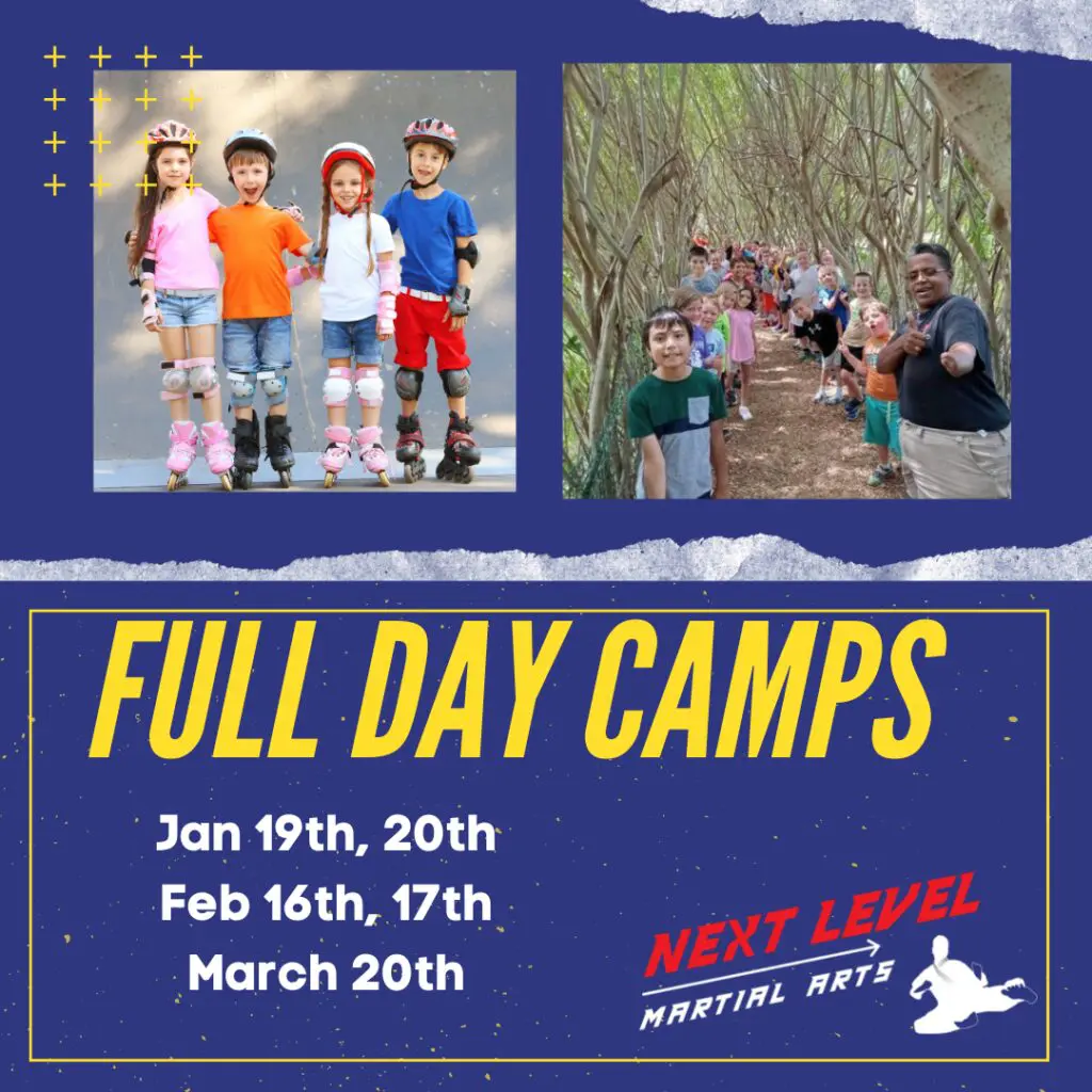 Next Level Newsletter v3.0