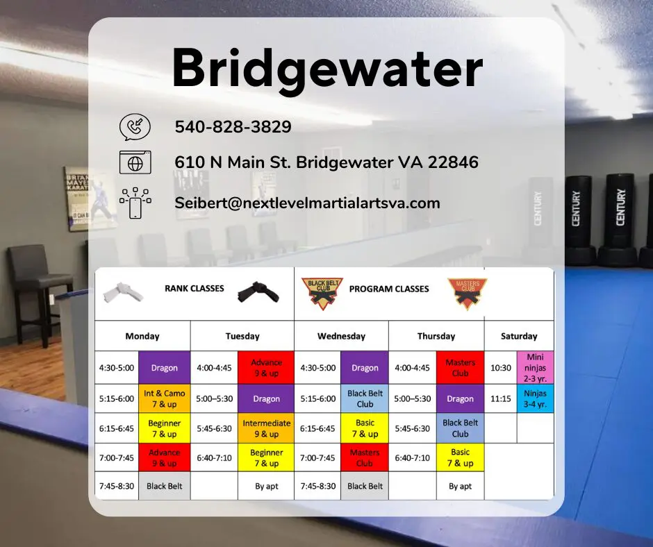 Next Level Newsletter v3.0