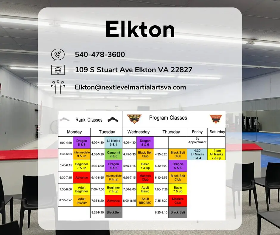 Next Level Newsletter v3.0