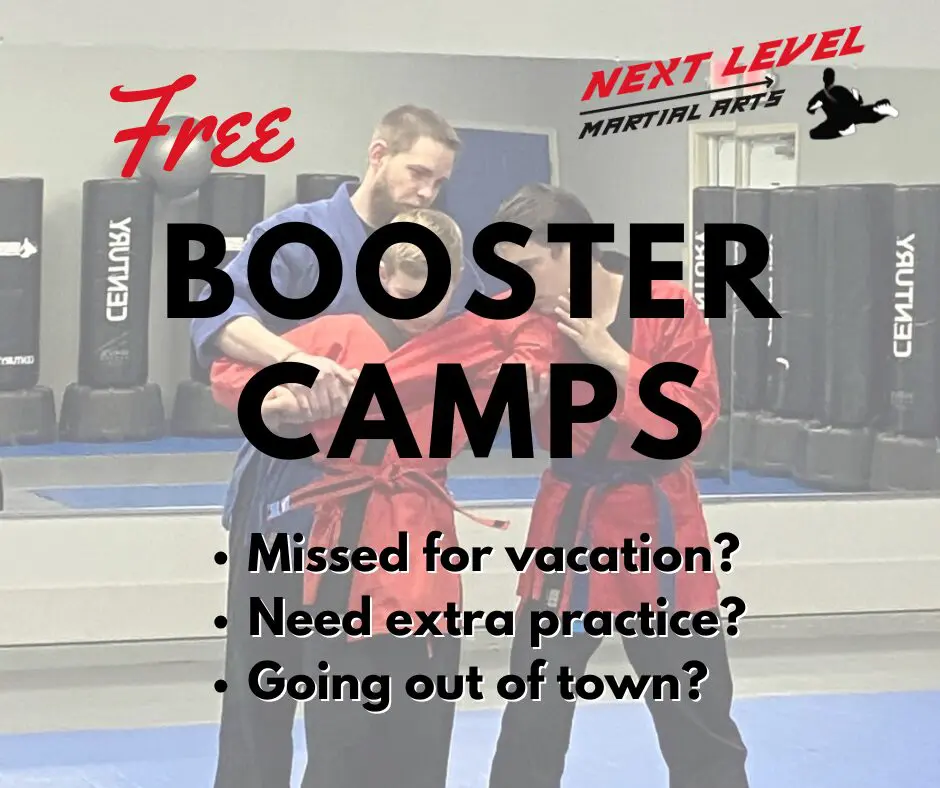 Next Level Newsletter v3.0